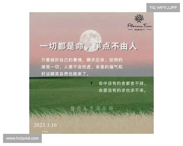 在逆境中掌控命运的智慧与行动策略解析 在逆境中掌控命运的智慧与行动策略解析