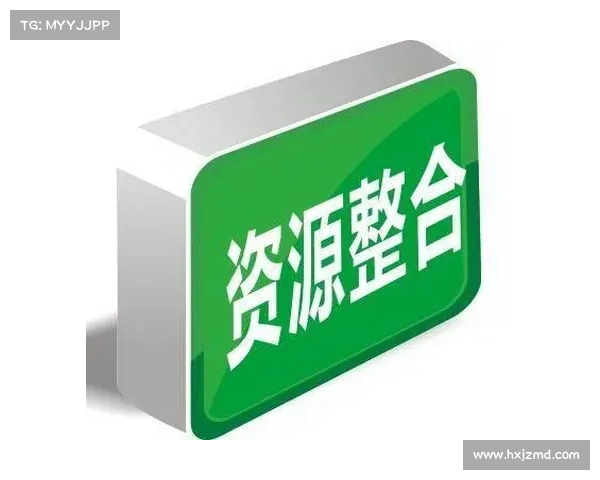 如何在战场上通过情报分析与资源整合制定精准的战术布局 如何在战场上通过情报分析与资源整合制定精准的战术布局