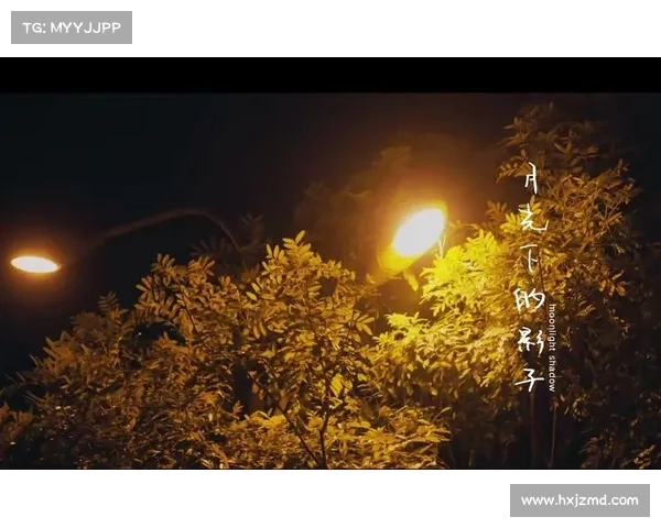 月光下的灵魂在黑夜低语诉说永恒与孤独的诗意旅程 月光下的灵魂在黑夜低语诉说永恒与孤独的诗意旅程